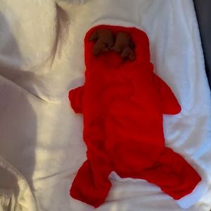 Red Reindeer Dog Outfit